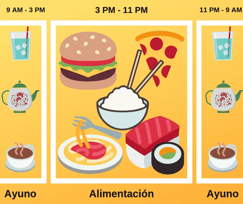 Esquema del ayuno intermitente: dos franjas de ayuno con bebidas y una franja central de comidas