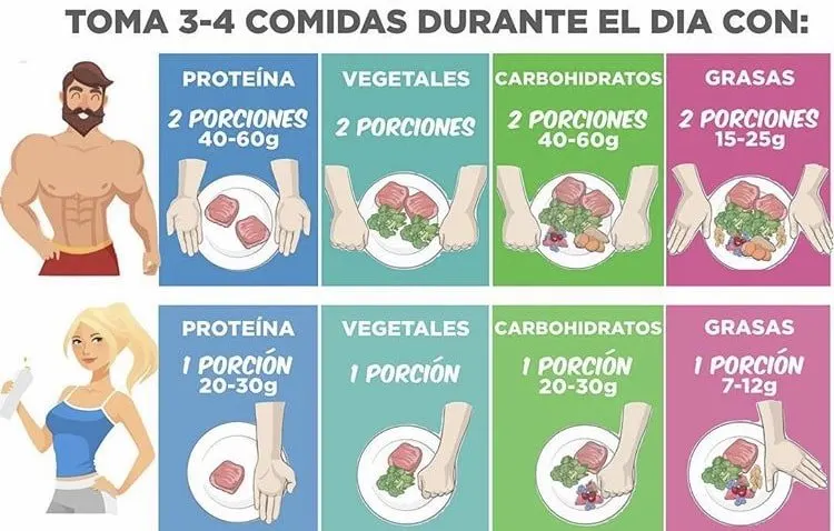 Guía visual para medir porciones con la mano: proteína, vegetales, carbohidratos y grasas, para hombre y para mujer
