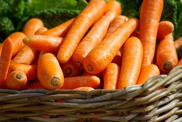Zanahorias frescas apiladas en una cesta de mimbre