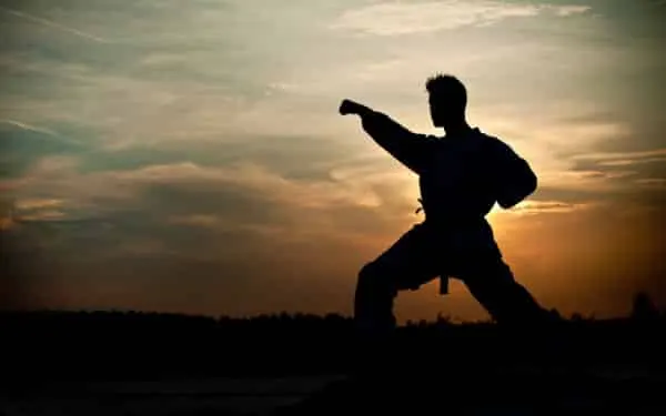 Silueta de un practicante de karate ejecutando una técnica al atardecer