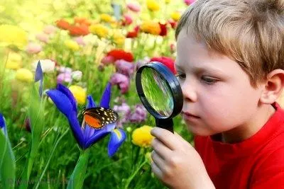 Niño observando con una lupa una mariposa posada entre flores