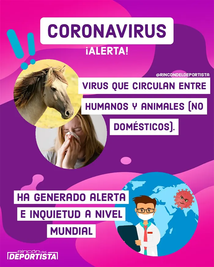 Infografía de alerta sobre el coronavirus: un virus que circula entre humanos y animales